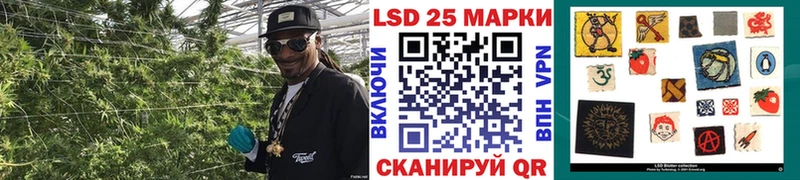 сколько стоит  Елабуга  Наркотические марки 1500мкг 