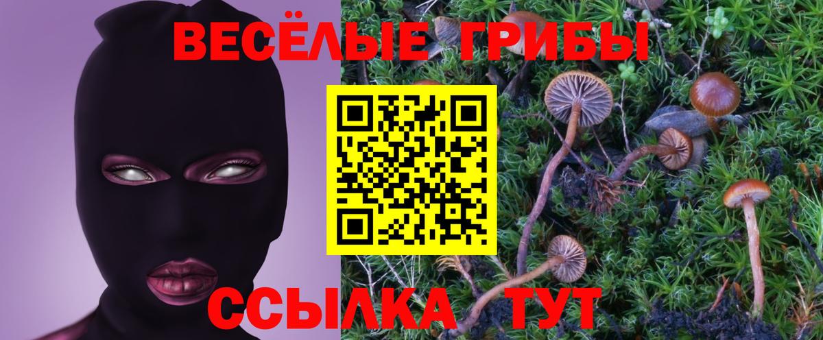 Галлюциногенные грибы мицелий  Псилоцибиновые грибы MAGIC MUSHROOMS  Елабуга  Вход с VPN 